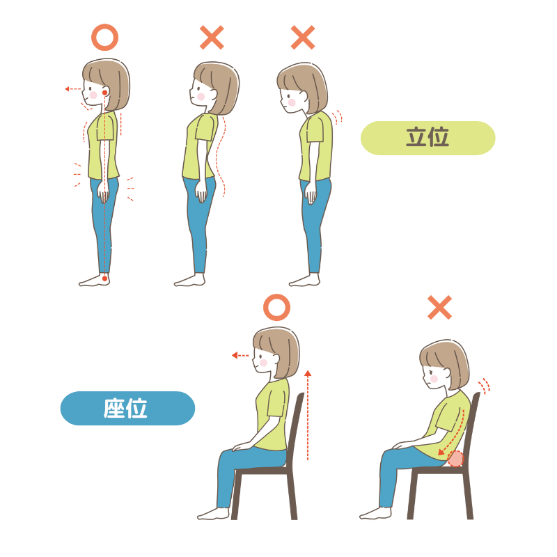 立位・座位、それぞれの正しい姿勢と誤った姿勢のイラスト