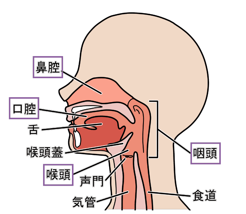 ４つの共鳴腔