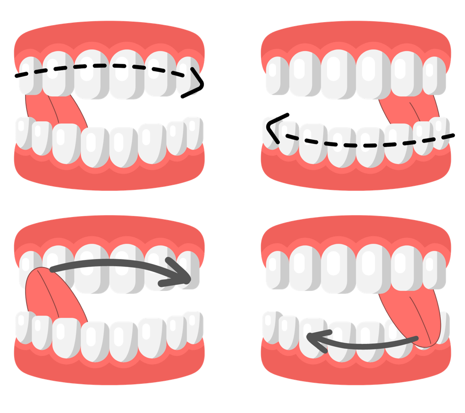 歯の裏側／表側を、舌先でなぞりながらなめる